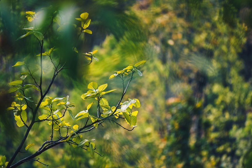 energy stocks expected to grow