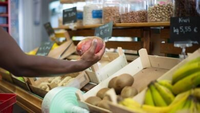 top stocks for short term gains