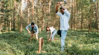 call activity log entries