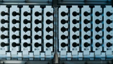 phone number analysis insights