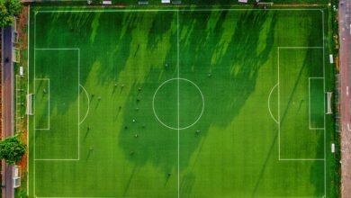 telecom activity phone numbers