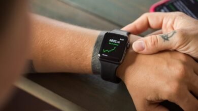 connectivity and routing analysis