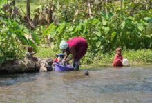 keveshelman interaction overview summary